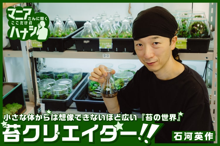 苔には根が無い!? 知られざる苔の生態の生態に迫る!