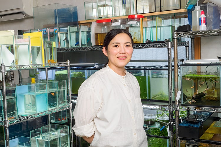 トップブリーダーに学ぶベタの繁殖方法！ 成功のコツや注意点とは？