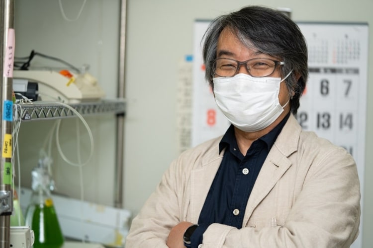 【ミジンコの増やし方】メダカの餌にするならミジンコの質が重要！ 東北大学・占部城太郎教授に聞く培養方法