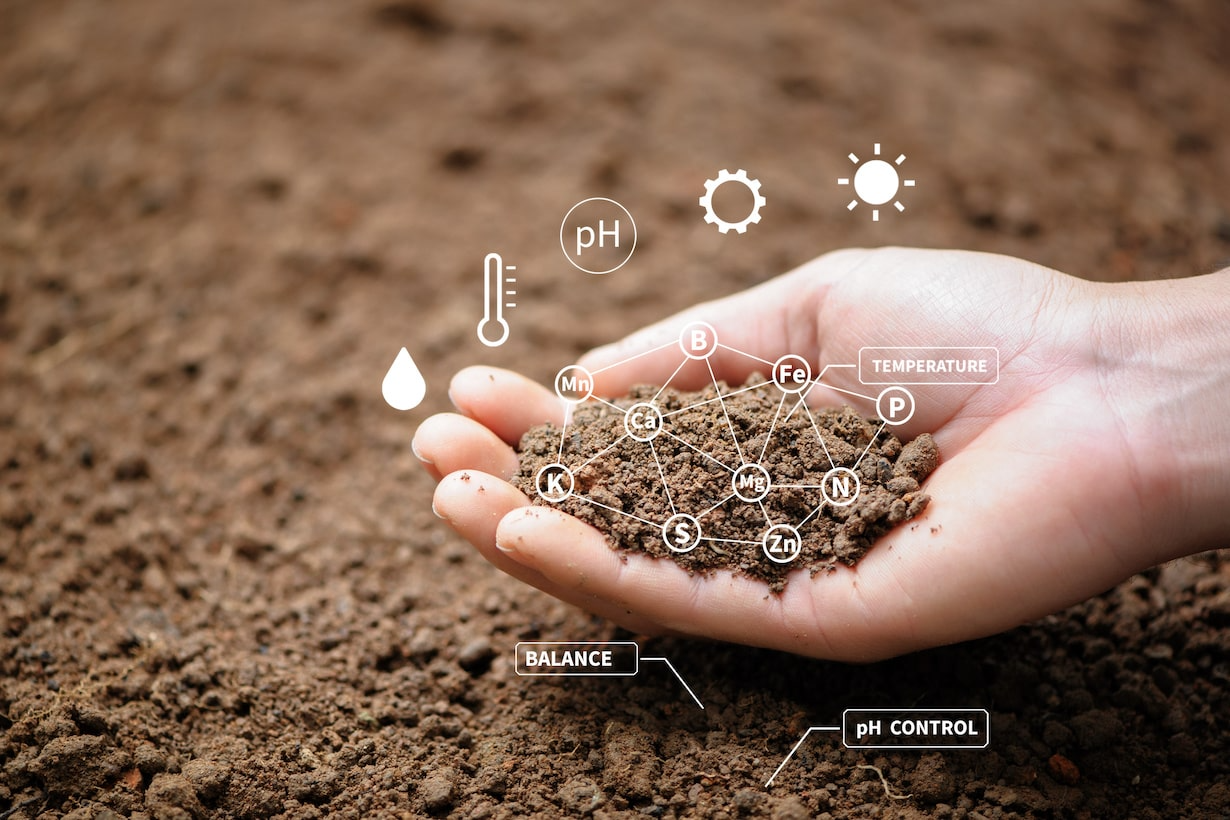 土をリサイクルしてみよう！ 熱湯やふるいを使って簡単作業