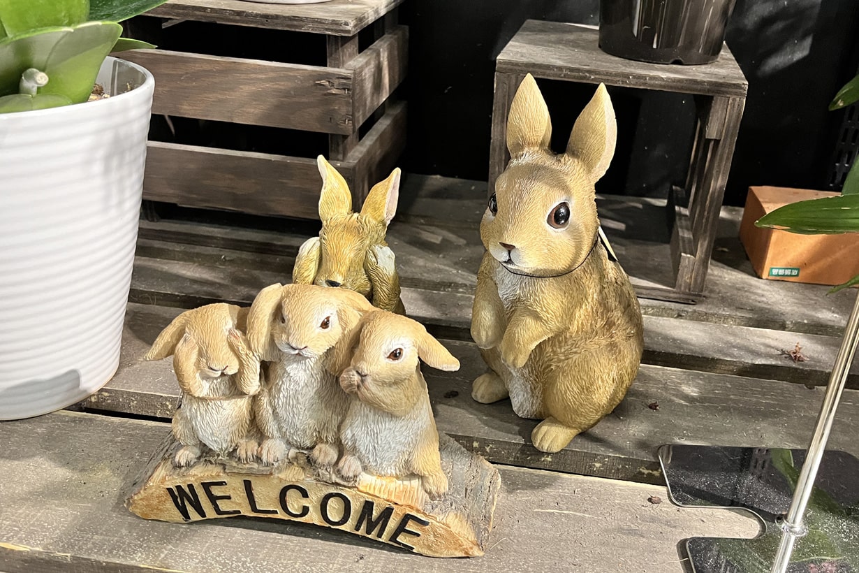 卯年だし、うさぎロボットでうさぎの自然な姿を撮りたかった | となり