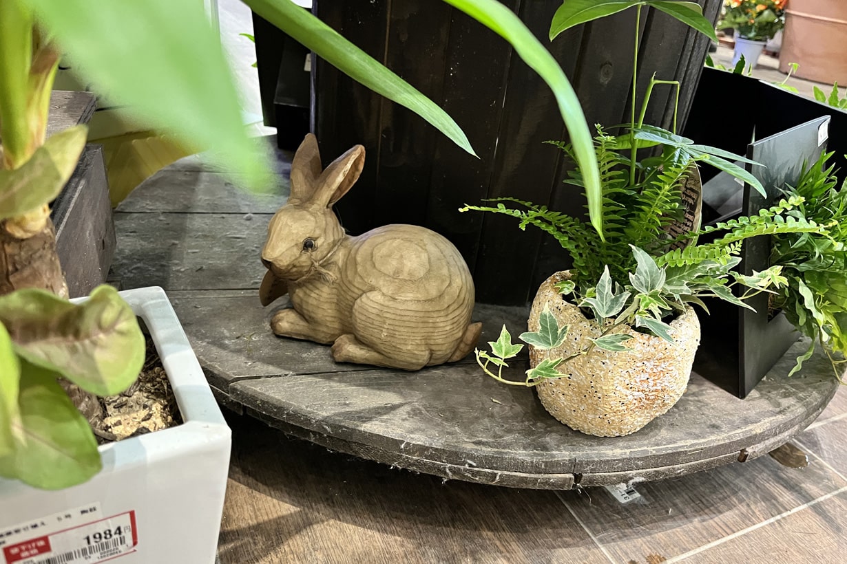 卯年だし、うさぎロボットでうさぎの自然な姿を撮りたかった | となり