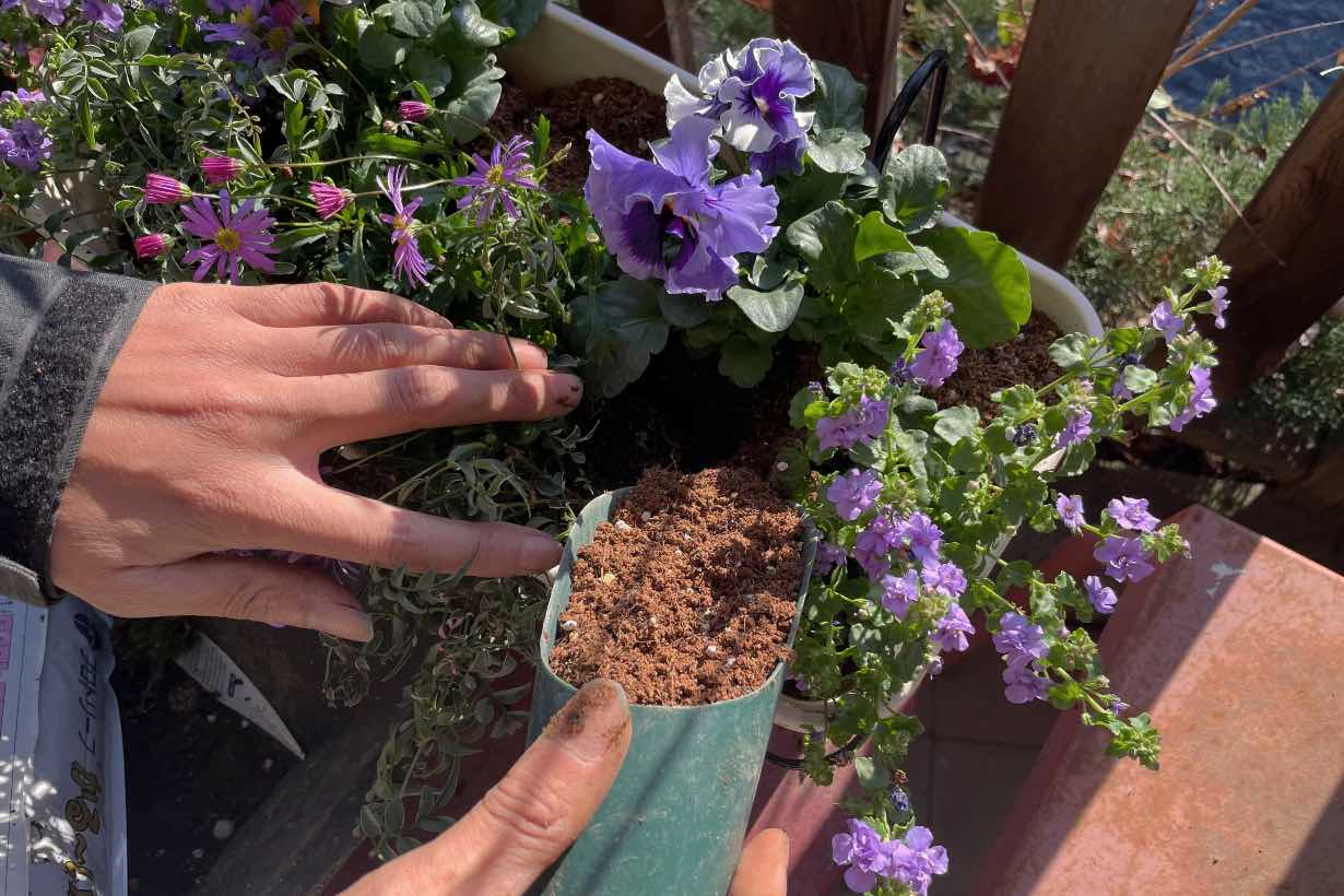 ヨーロッパの窓辺の花を再現したい。「ウィンドウボックス」を作って