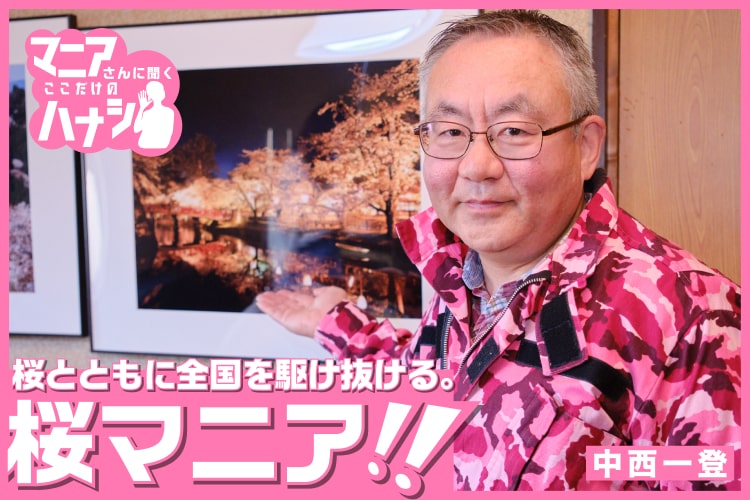 狂い咲きした桜を求め全国を駆け抜ける！ 桜マニア・中西一登