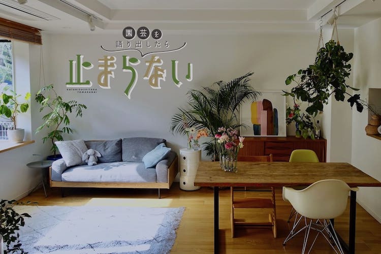 初心者でも問題なし！ インテリアグリーンをさらに楽しむ5つの方法