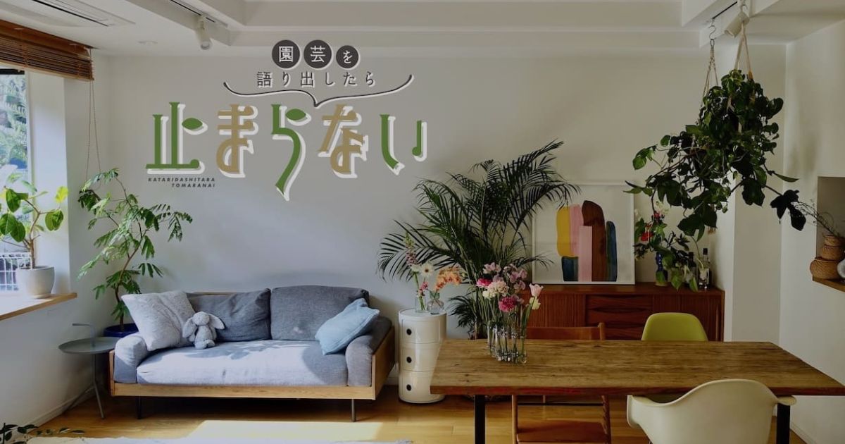 web制作、教育・子育て
