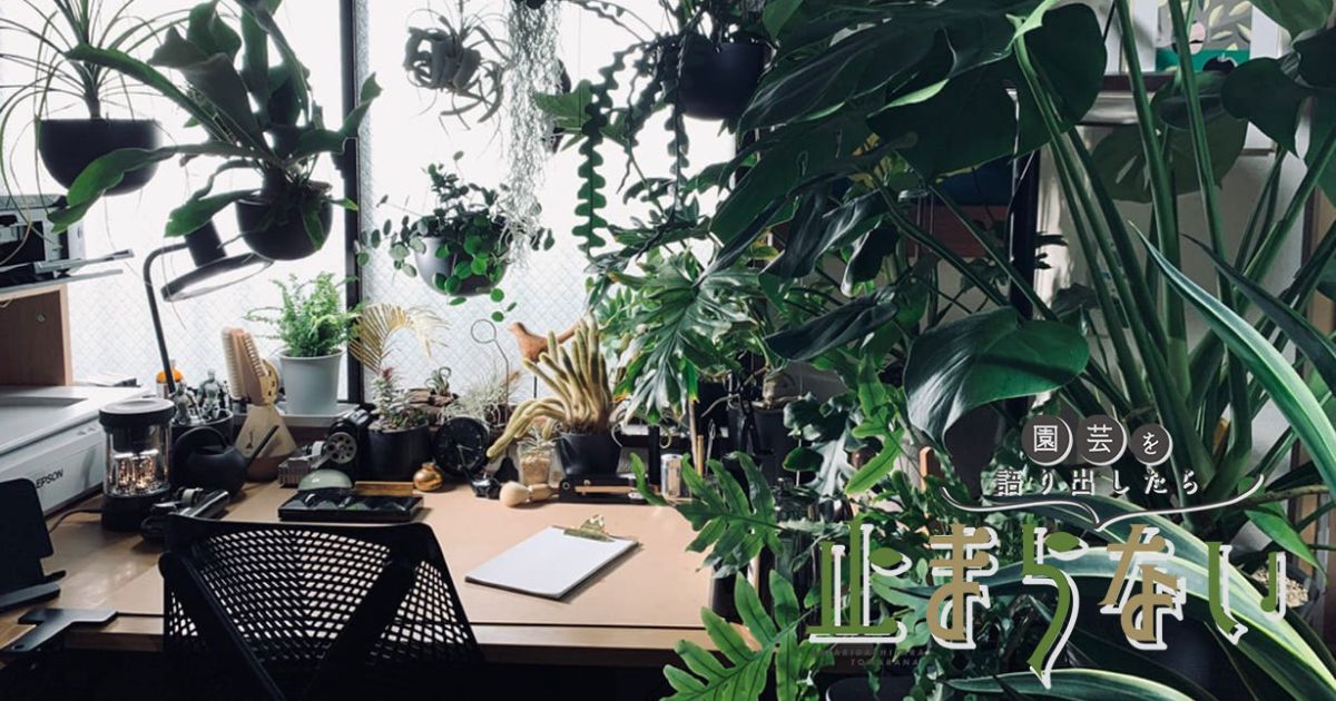 植物、編集