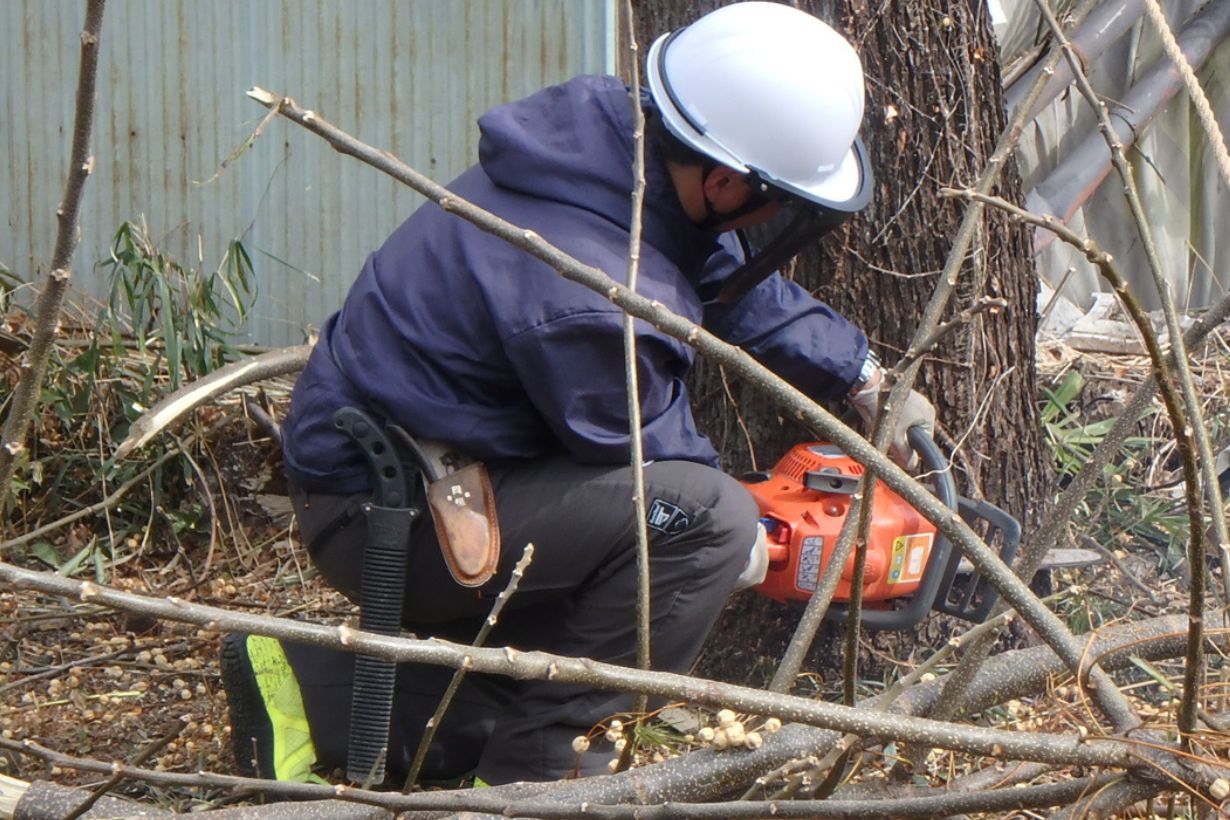 安村さん、お願いします。