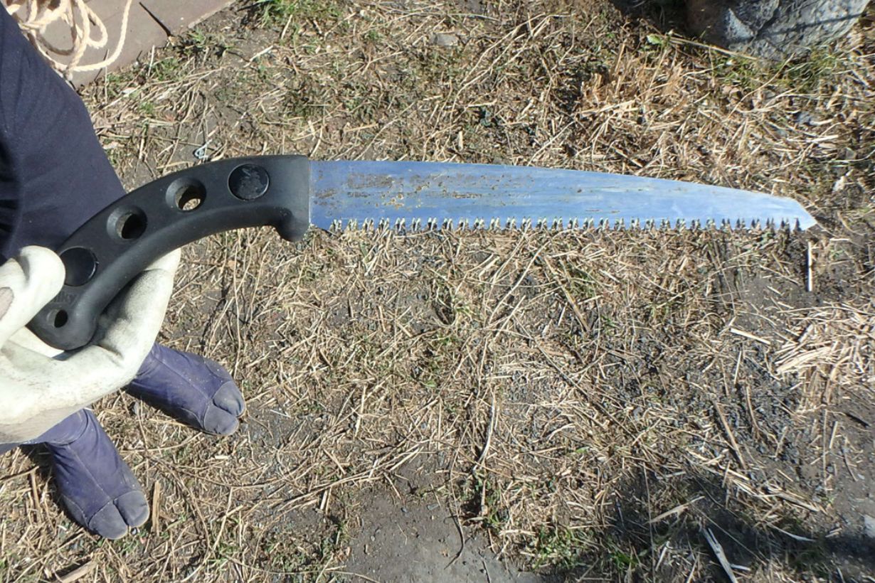 道具その1 剪定ノコギリ