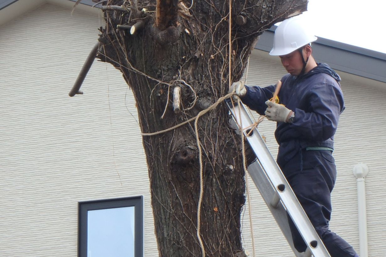 梯子が倒れないようにロープで固定。