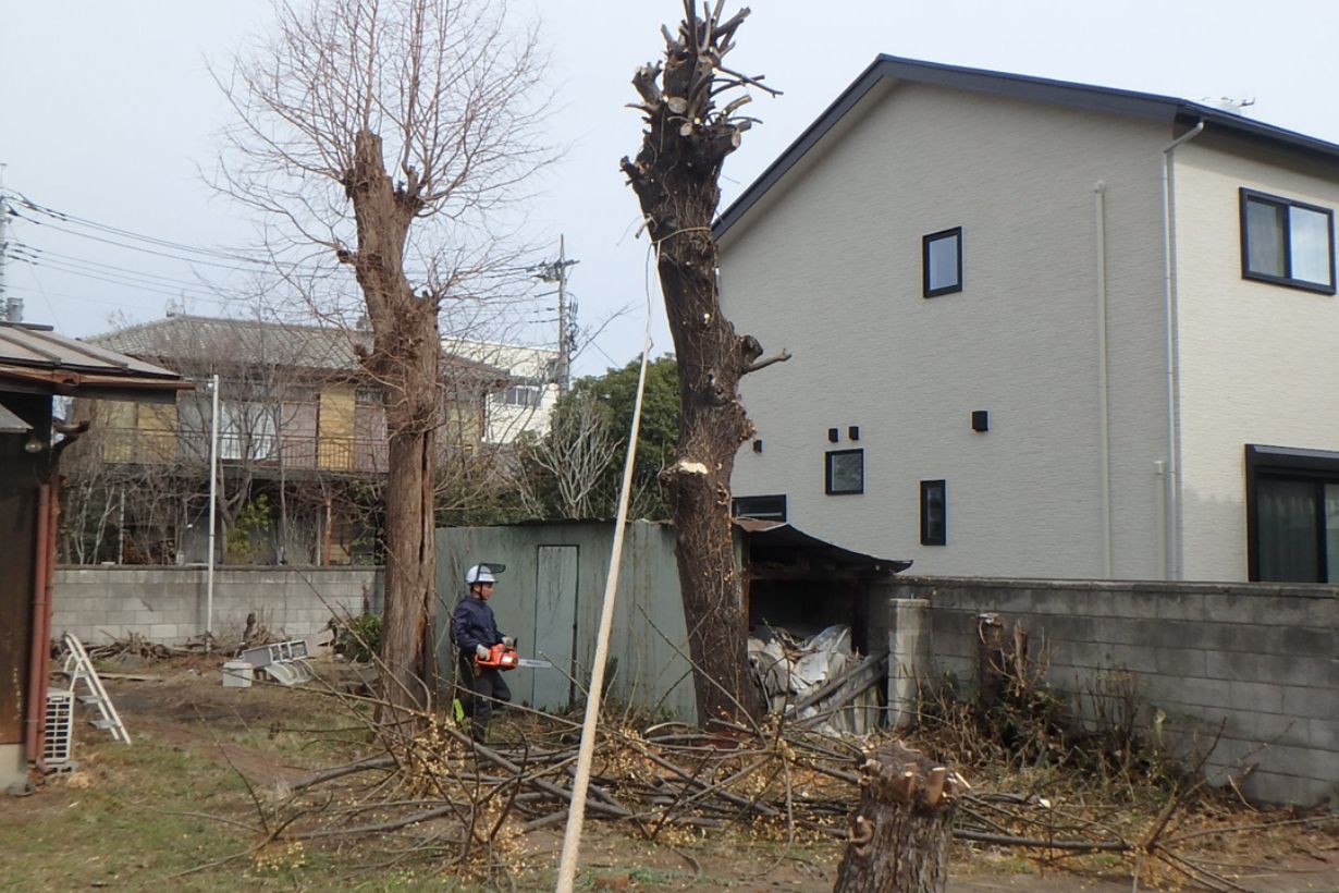 人生初の切り倒し補助