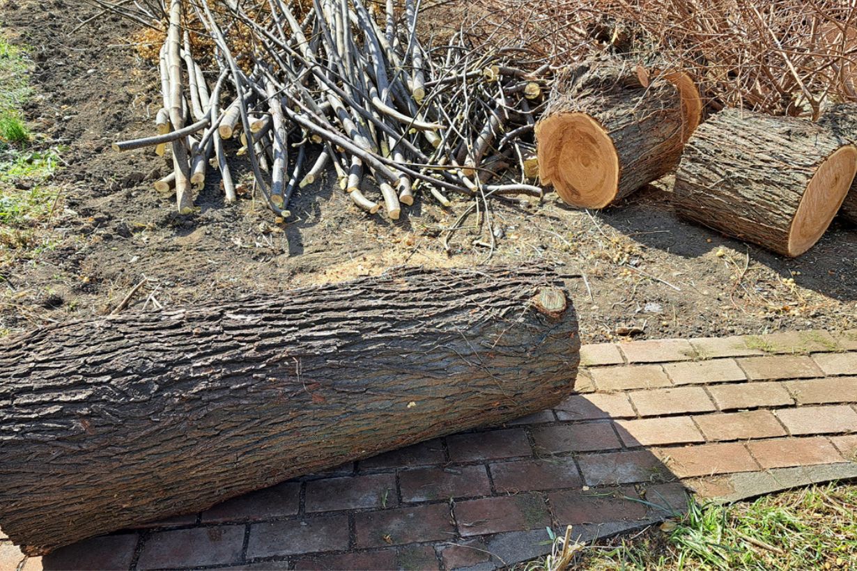 敷地内でベンチなどに再生したかったので、割と大きめに切断してもらいました。