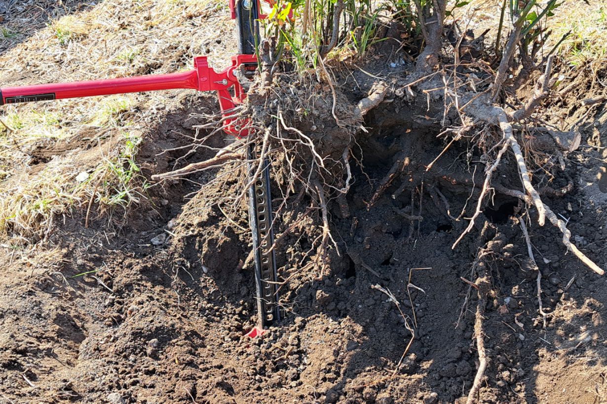 庭に残る切り株を除去したい！ 自分で伐根する方法や道具とは 