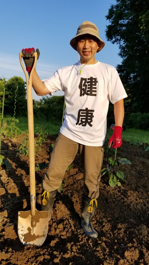 庭に残る切り株を除去したい！ 自分で伐根する方法や道具とは