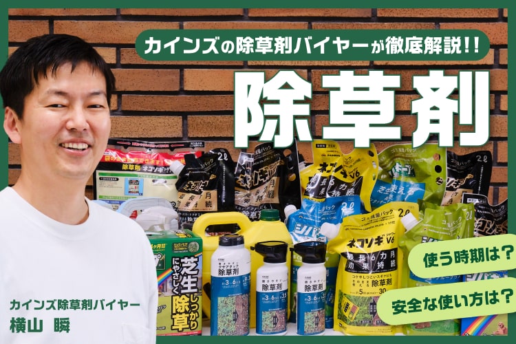 【迷わず選べる】プロ厳選の除草剤おすすめ5選｜種類や使い方を徹底解説