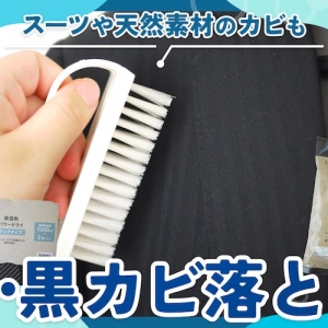 服のカビの落とし方｜白・黒カビを取る方法と防止策