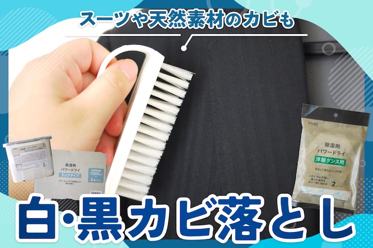 服のカビの落とし方｜白・黒カビを取る方法と防止策