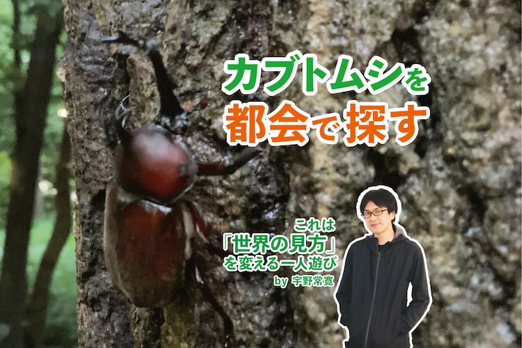 宇野常寛が都会で「カブトムシ」を探す理由。人間社会の「外側」に触れたい