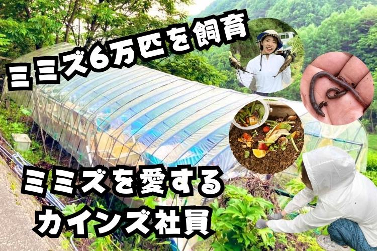 ミミズ6万匹を飼育するカインズ社員「虫は嫌い、ミミズは可愛い」