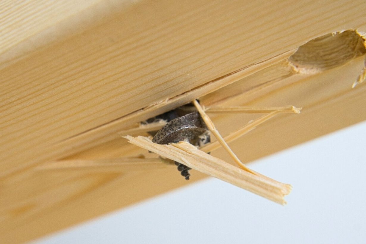 DIYで木材にきれいな穴を開けるための3つの方法とドリルの使い方を木工 