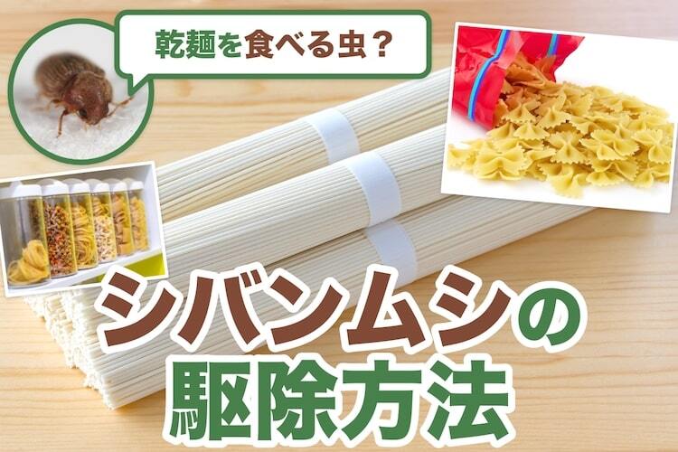 シバンムシの発生源はどこから? 駆除方法と二次被害の防ぎ方