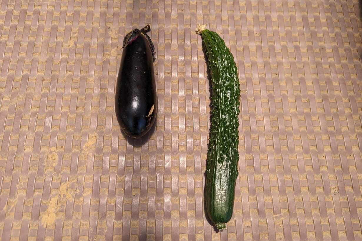 野菜作りをはじめて3ヶ月目の人が、野菜作りをはじめていない人に伝え