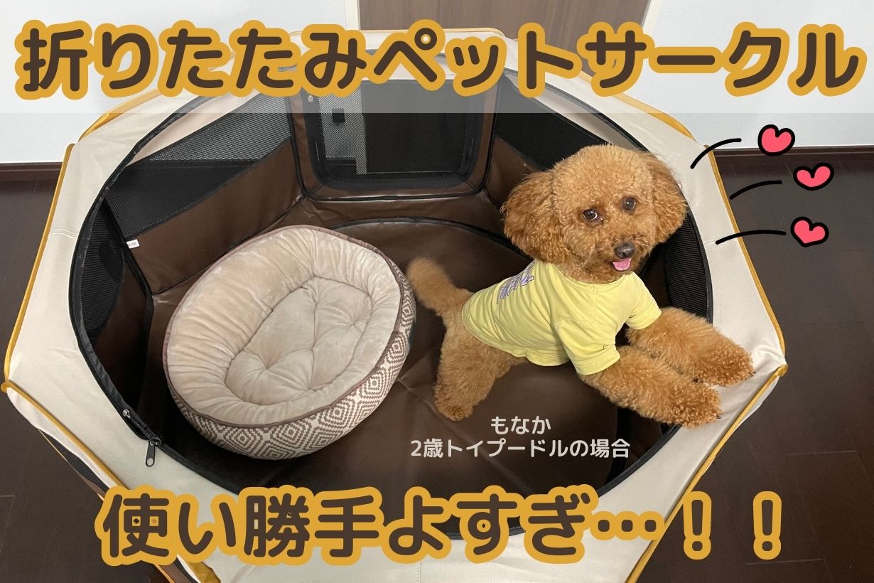 カインズの折りたたみ「ペットサークル」が超有用。旅行や災害時にも役立つアイテム