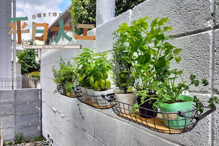 裏庭をボタニカルにイメチェン！ 手軽に出来るマイクロ家庭菜園！