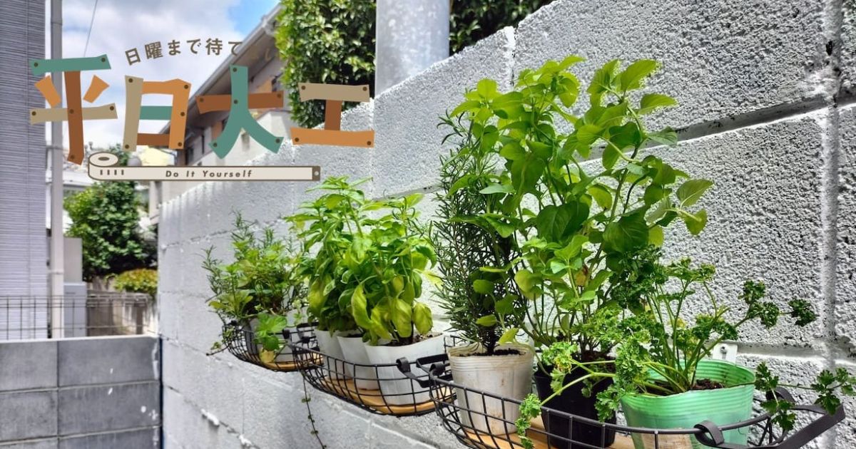 裏庭をボタニカルにイメチェン！ 手軽に出来るマイクロ家庭菜園