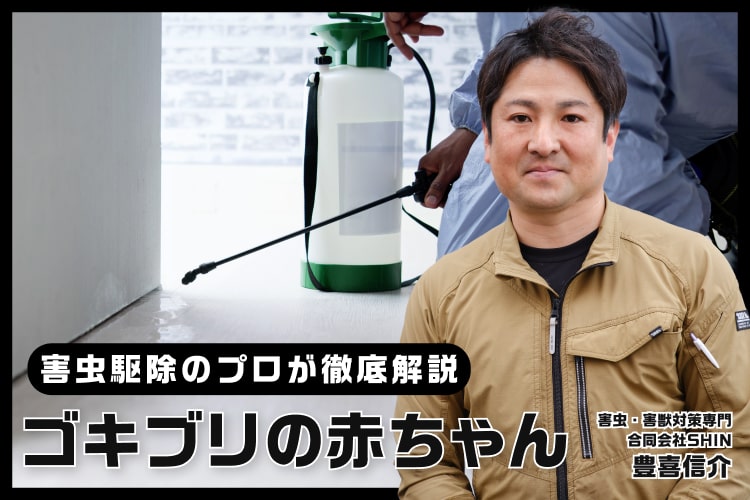 ゴキブリの赤ちゃん(幼虫)を見つけたら? 種類や特徴、予防や駆除の方法を紹介します