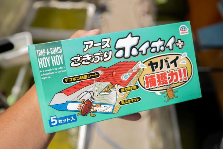 ゴキブリホイホイは逆効果？ 置き場所はどこがベスト？ ゴキブリホイホイの謎をアース製薬に聞いてみた