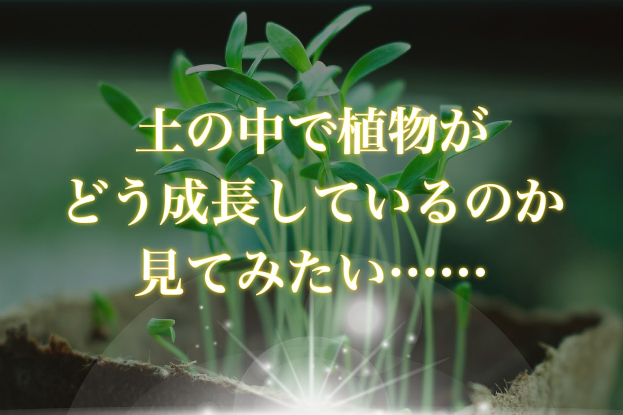 グラスが植木鉢に大変身！ DIY初心者がホビールーターでガラスに穴を
