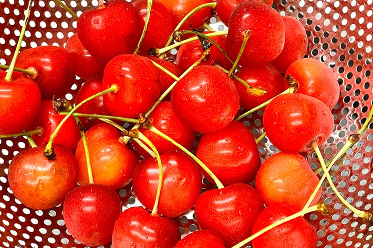 さくらんぼの育て方｜適した環境や栽培のコツを紹介