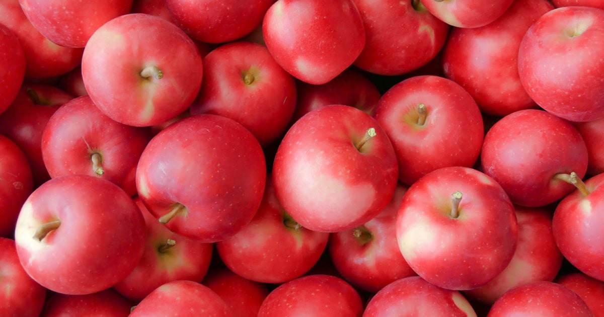 りんごの育て方｜剪定・受粉の方法やおすすめ品種も紹介します