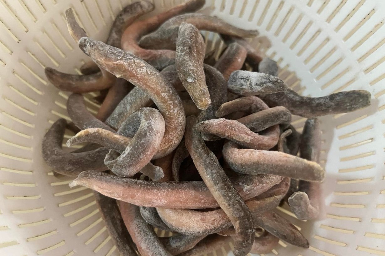 アロワナ　熱帯魚　40cm〜45cm グルメな大型熱帯魚アロワナにおすすめの餌は？ 人工飼料や生餌、乾燥