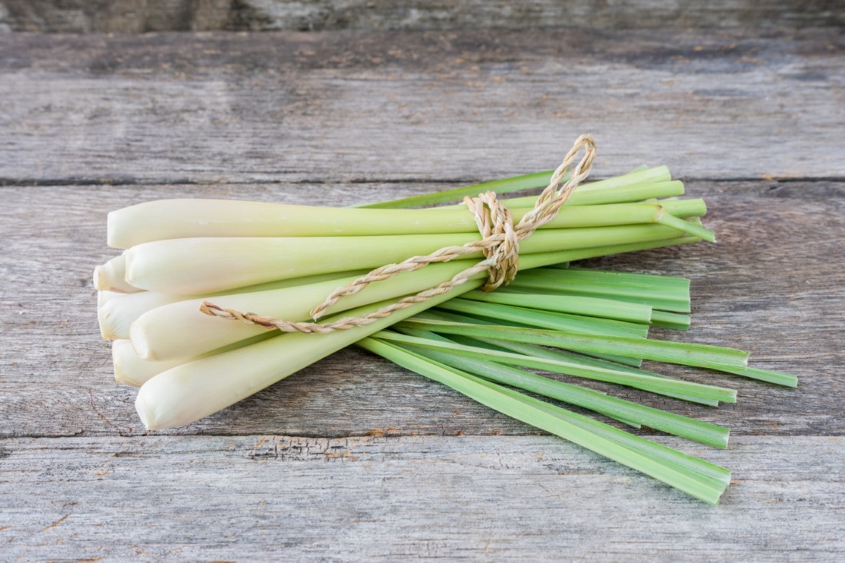 ハーブだけでなく野菜としてもお勧め！ レモングラスの利用方法から
