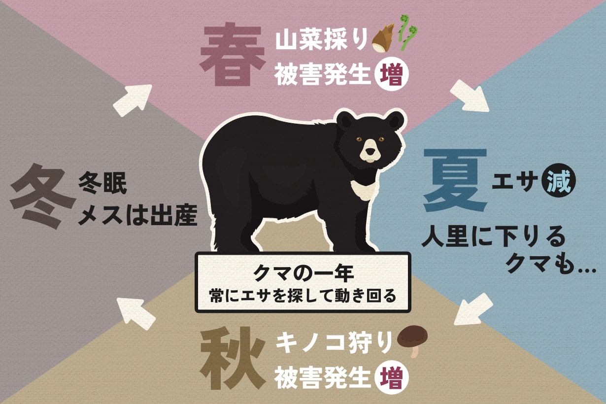 活動歴および当時の関連ビジュアル記録