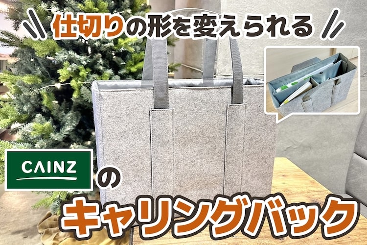 カインズの「仕切りの形を変えられるキャリングバック」がグッドデザインすぎるからおすすめさせてほしい