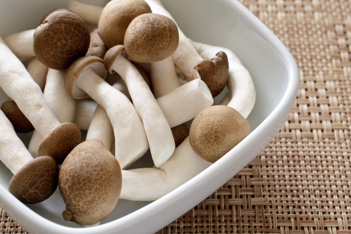 ぶなしめじの育て方。栽培のコツと収穫の注意点 | となりのカインズさん