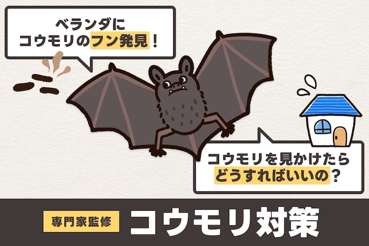 コウモリは駆除できる? ベランダでフンを見つけたときの対策とは【専門家監修】