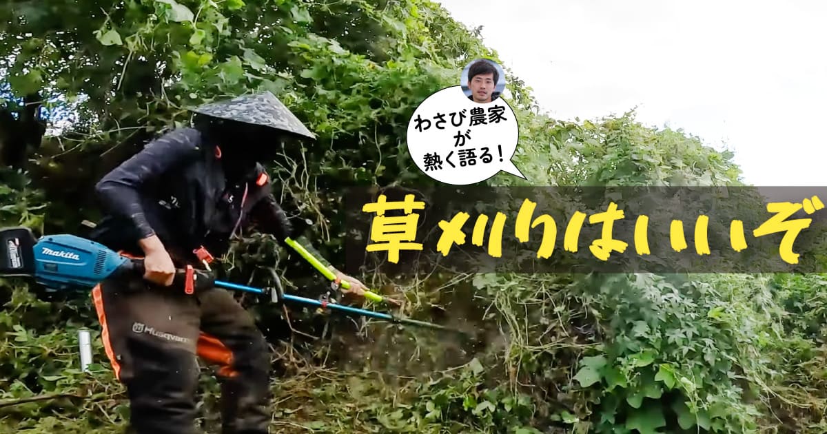 ようこそ「草刈り」の沼へ。わさび農家が情熱を注ぐ、ガジェットを駆使 ようこそ「草刈り」の沼へ。わさび農家が情熱を注ぐ、ガジェットを駆使
