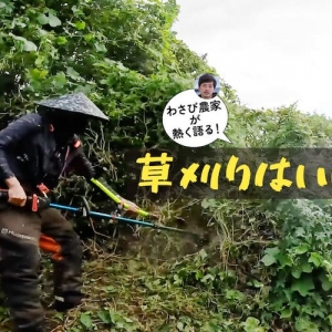 ようこそ「草刈り」の沼へ。わさび農家が情熱を注ぐ、ガジェットを駆使した草刈りの醍醐味
