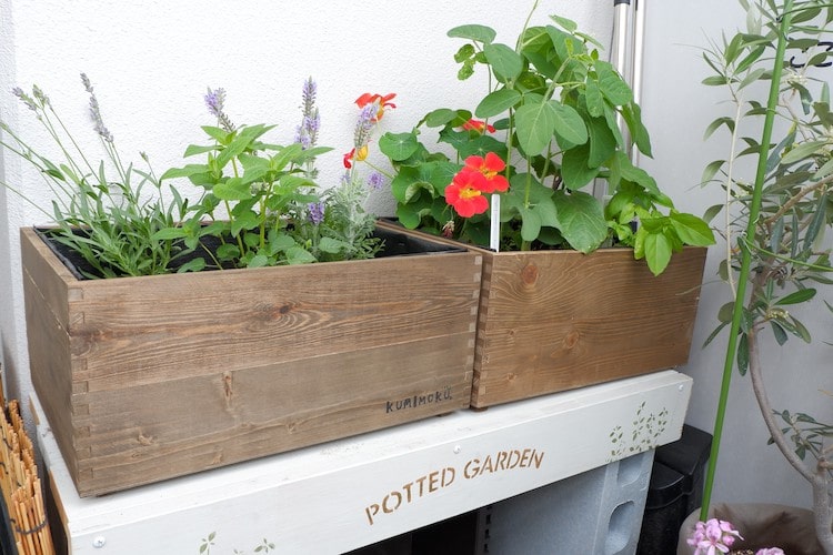 フランス式家庭菜園「ポタジェ」をカインズの収納ボックスでDIYしてみた