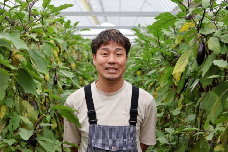 日本一のナス産地・高知県安芸市のプロ農家に「おいしいナス」の育て方を聞いてきた