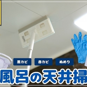 お風呂の天井の掃除術。正しいカビ取り方法と予防策を解説