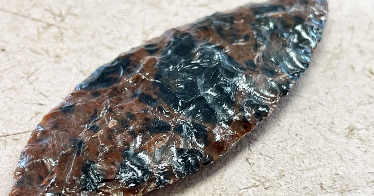 【海】石器時代 矢尻 打製石器 黒曜石 縄文時代 イグアノドン化石骨（断面） sekizoku.jpg