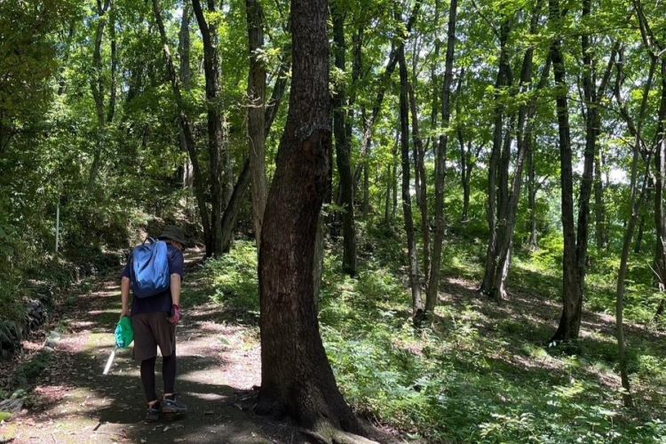 クワガタ採集は1年中楽しめる！？ カインズの昆虫オタク・矢吹が語るクワガタ探しの極意
