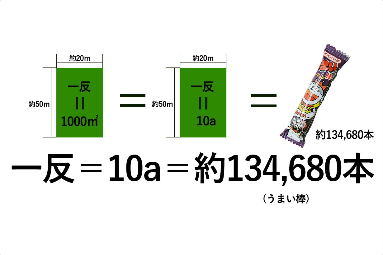 1 反 と は