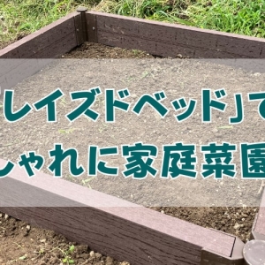 レイズドベッドでおしゃれに野菜を育ててみよう！ カインズの「リバーシブル式どこでもガーデンフレーム」を使ってみた