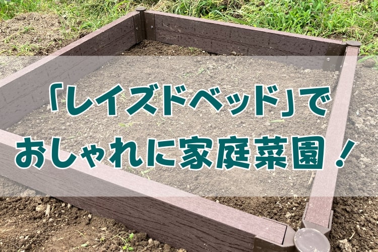 レイズドベッドでおしゃれに野菜を育ててみよう! カインズの「リバーシブル式どこでもガーデンフレーム」を使ってみた